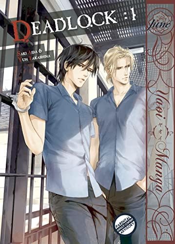 Amazon.com: Deadlock Volume 1 (Yaoi Manga): 9781569703229: Aida